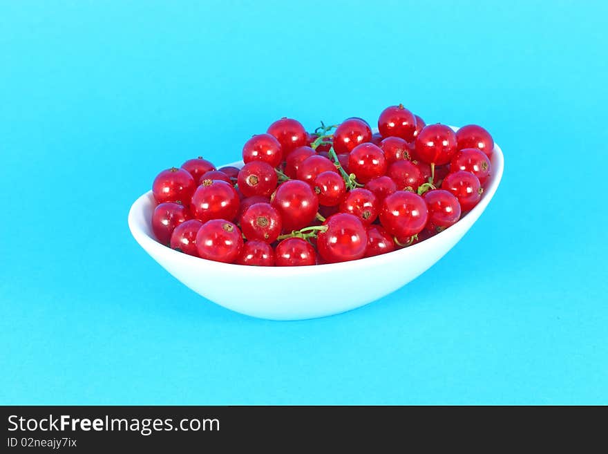 Red currant in white bowl isolated on blue background