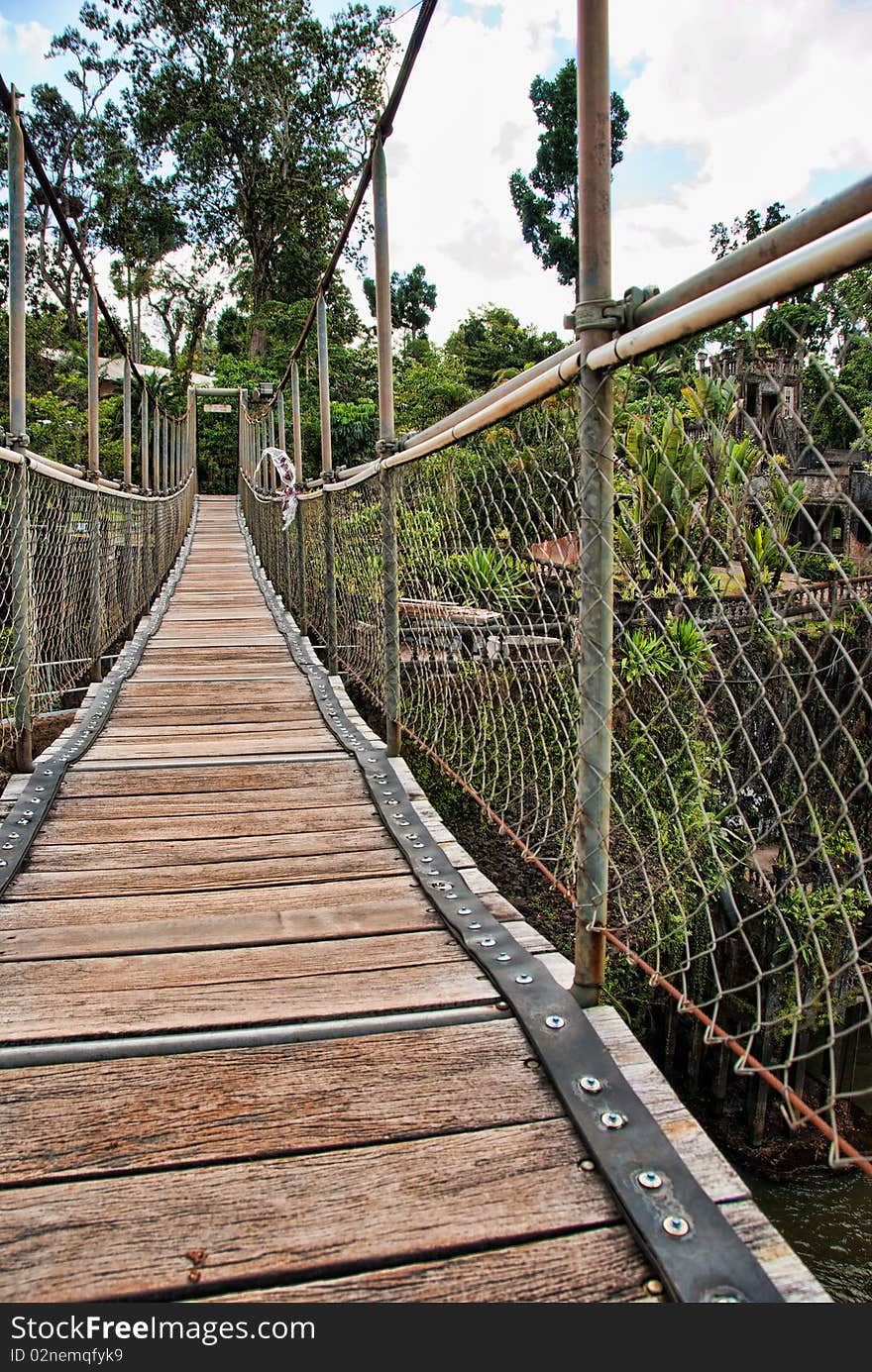 Paronella Park Vegetation in Queensland, Australia. Paronella Park Vegetation in Queensland, Australia