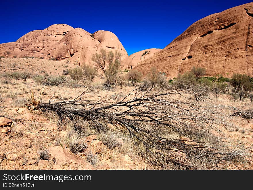 Bright and Sunny Day in the Australian Outback