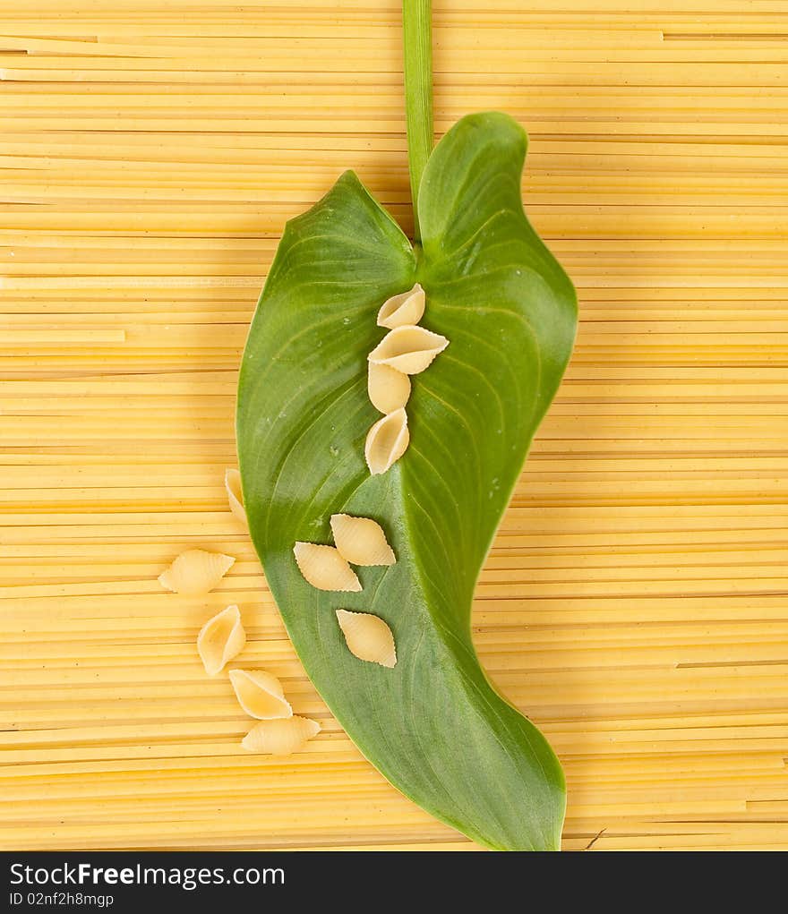 Shell Pasta and Large Leaf on Angel Hair Pasta. Shell Pasta and Large Leaf on Angel Hair Pasta