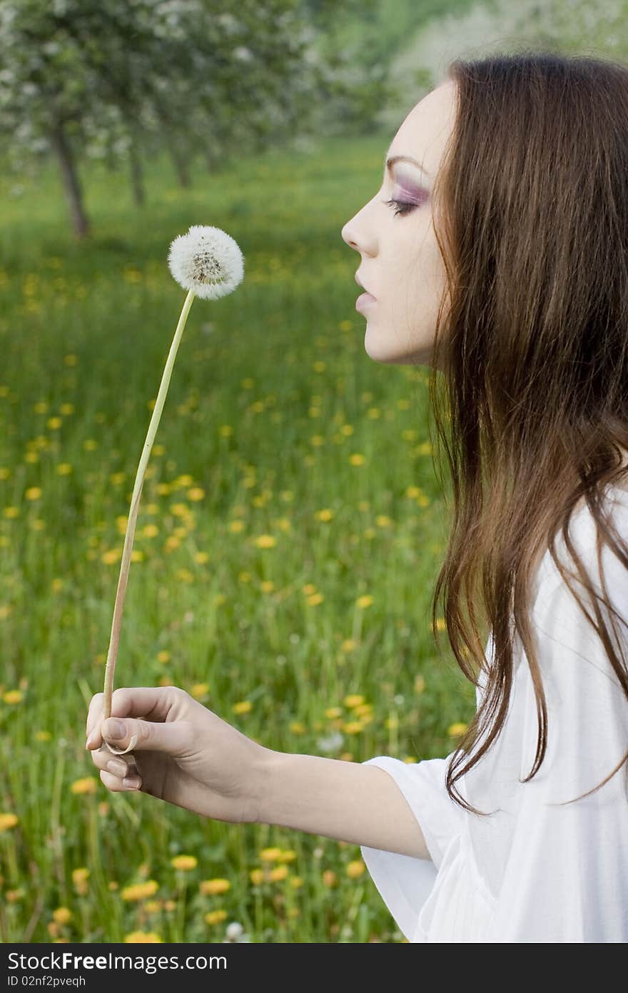 Young girl in a meadow with dandelion in the hands