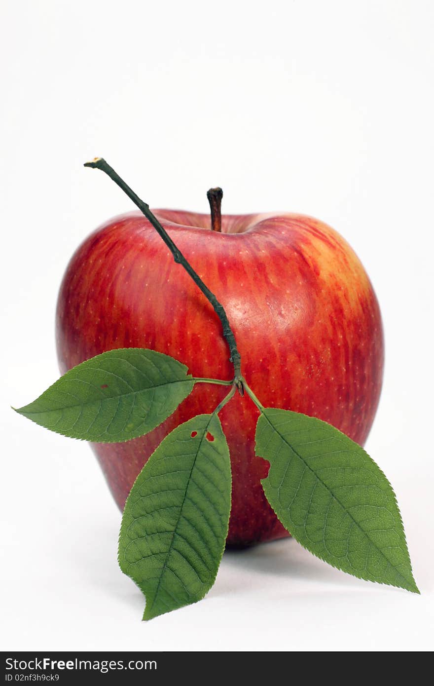 Red apple with green leaflets on a white background