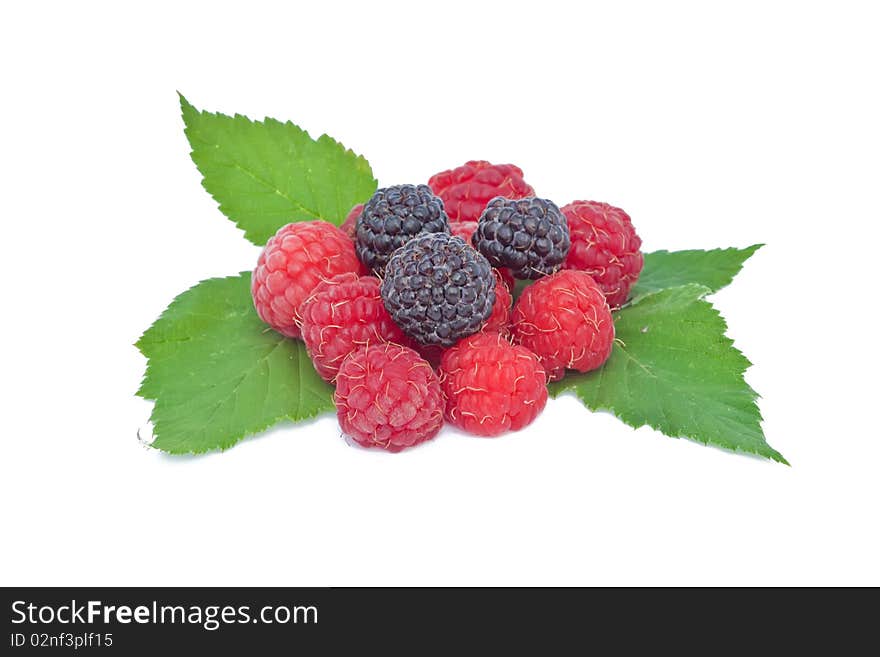 Raspberry and blackberry fruit with green leaves on a white background