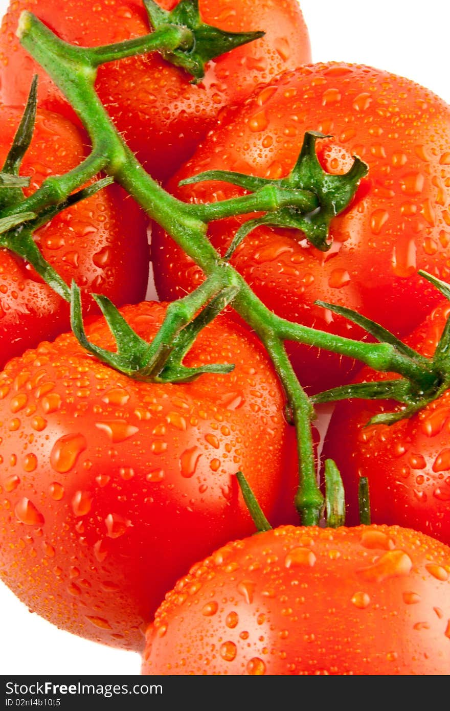 Red fresh tomatoes on white  backgrounds