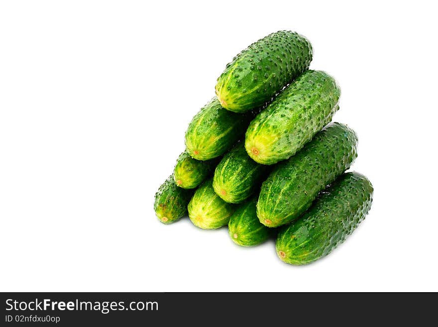 Green ripe cucumbers on a white background. Green ripe cucumbers on a white background