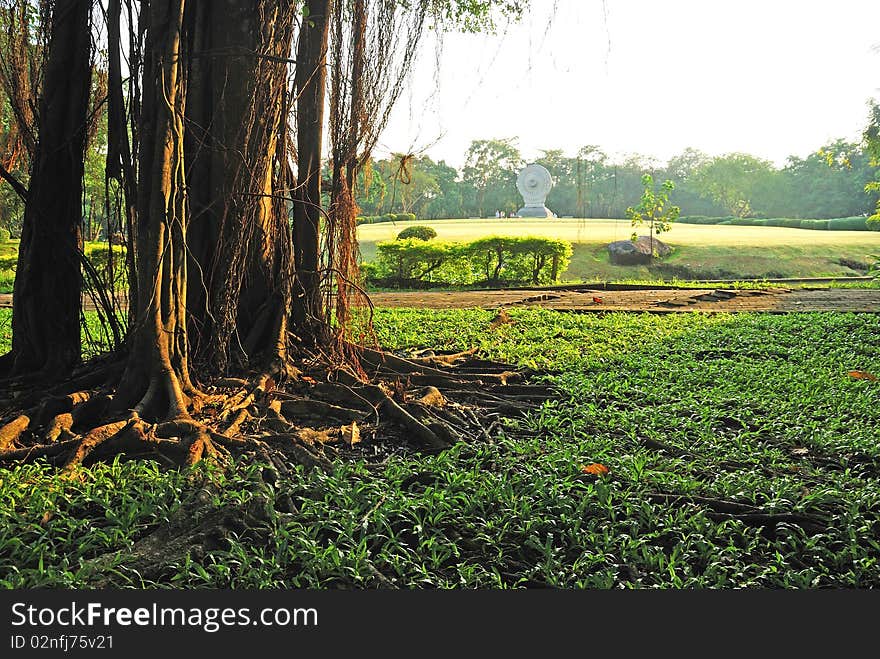 Freshy air at Buddism Garden in Thailand