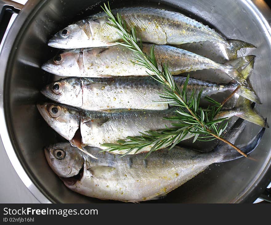 Blue sea fish in the marinade on the grill waiting. Blue sea fish in the marinade on the grill waiting