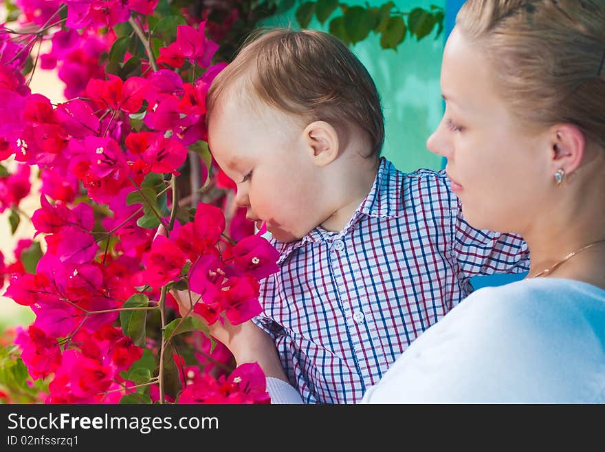 Child with mother admire flowers. Child with mother admire flowers