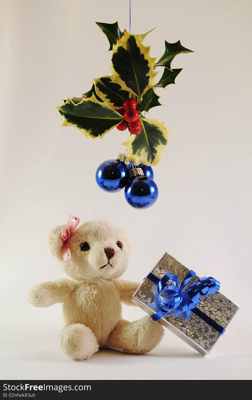 Girl Christmas Teddy Bear