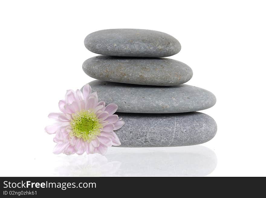 Flower and stack of spa pebbles with reflection. Flower and stack of spa pebbles with reflection