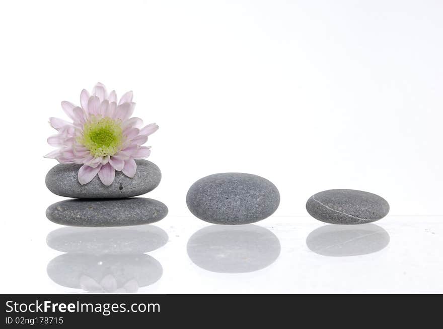 Flower and stack of spa pebbles with reflection