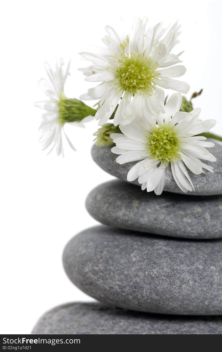 Stack of spa pebbles with daisy. Stack of spa pebbles with daisy