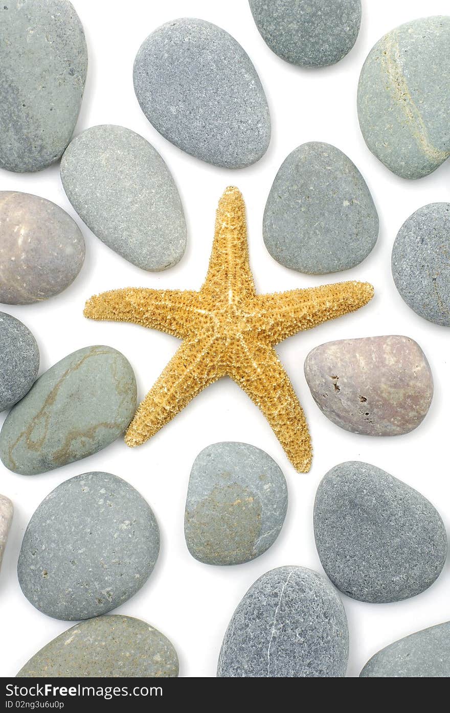 Starfish and pebbles as background. Starfish and pebbles as background