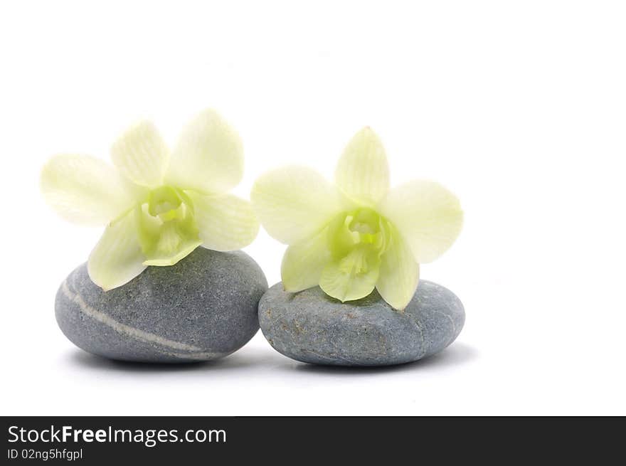 Nature stones with white orchid. Nature stones with white orchid