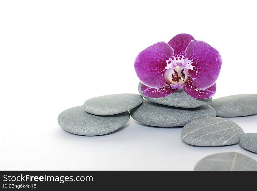 Pink orchid with pyramid of stones. Pink orchid with pyramid of stones