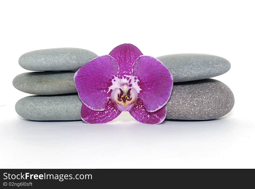 Stack stones and pink gladiola. Stack stones and pink gladiola