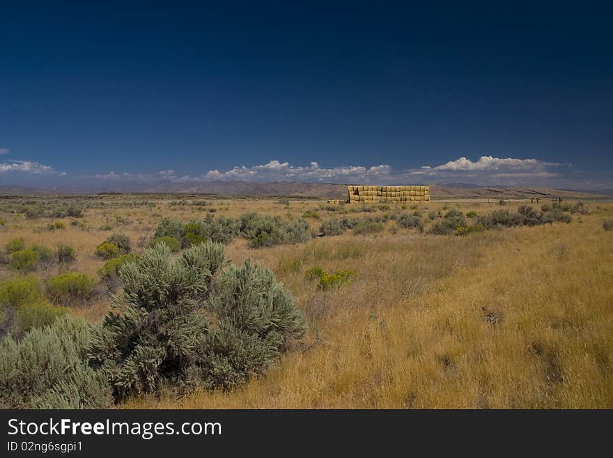 Field in the State of Idaho on a sunny day. Field in the State of Idaho on a sunny day