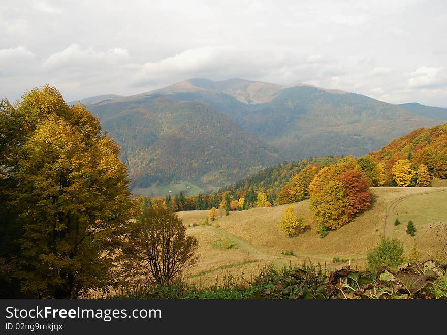 Autumn in mountains.