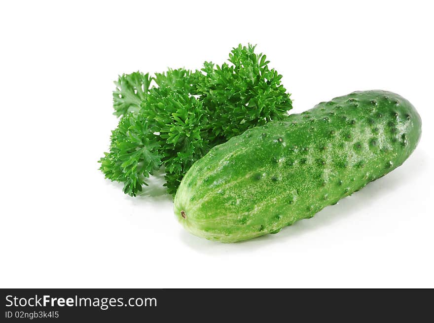 Cucumber with parsley foliage