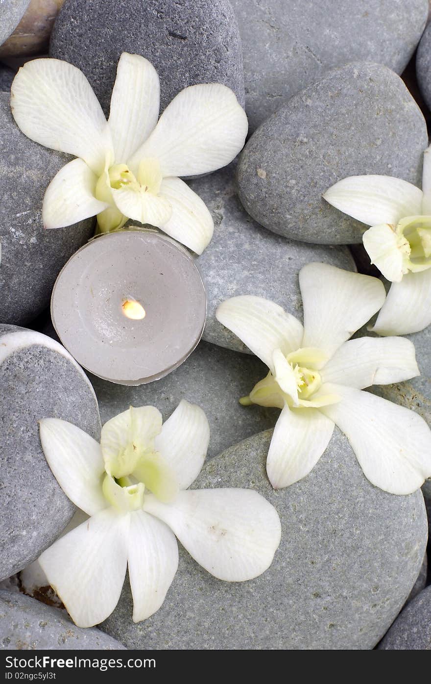 Zen stones with white orchid. Zen stones with white orchid