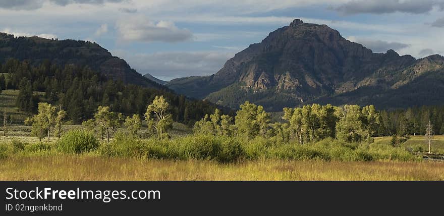 Absaroka yellowstone