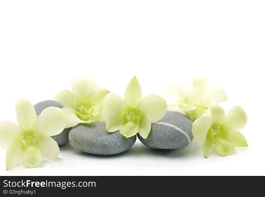 Beautiful orchid flower with zen stones. Beautiful orchid flower with zen stones