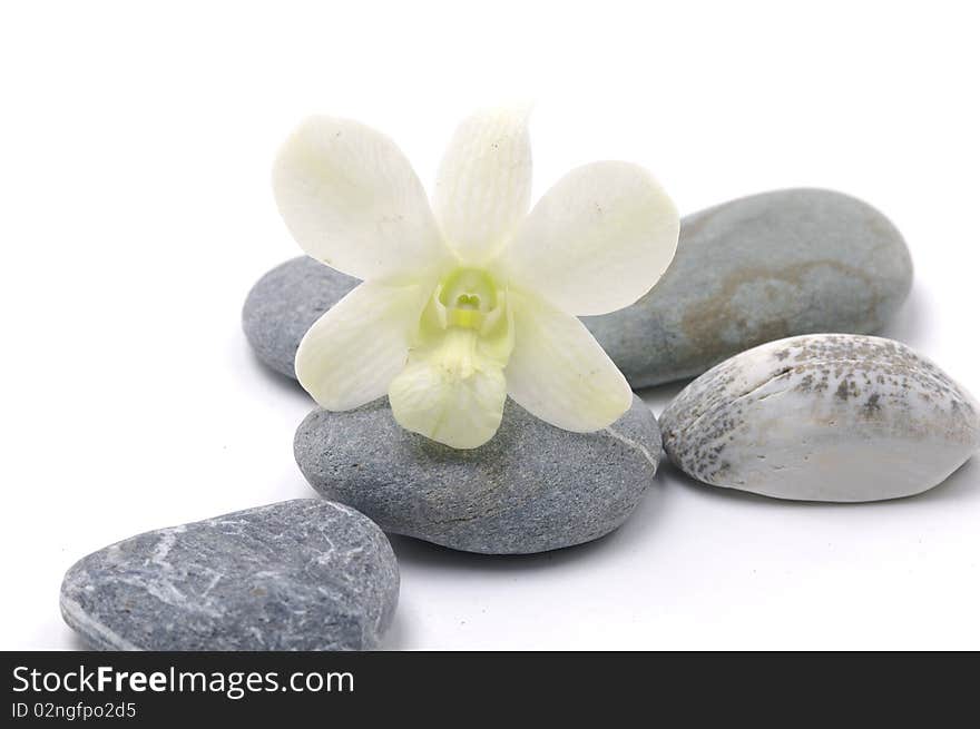 Zen stones with white orchid. Zen stones with white orchid