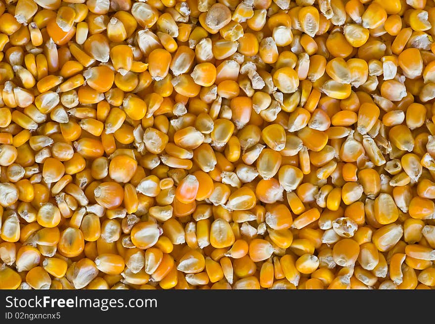 This picture is the corn background