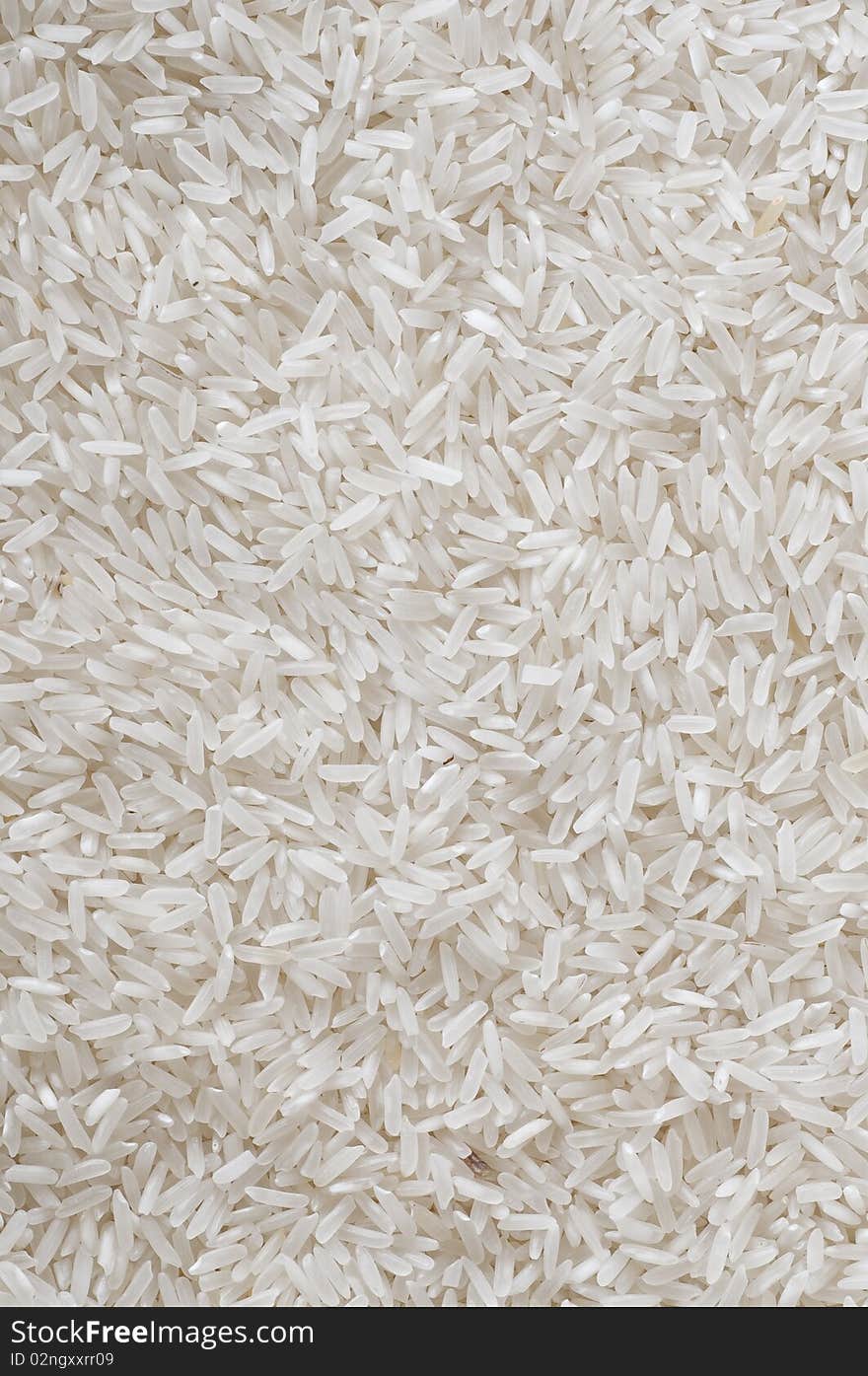 Milled Rice