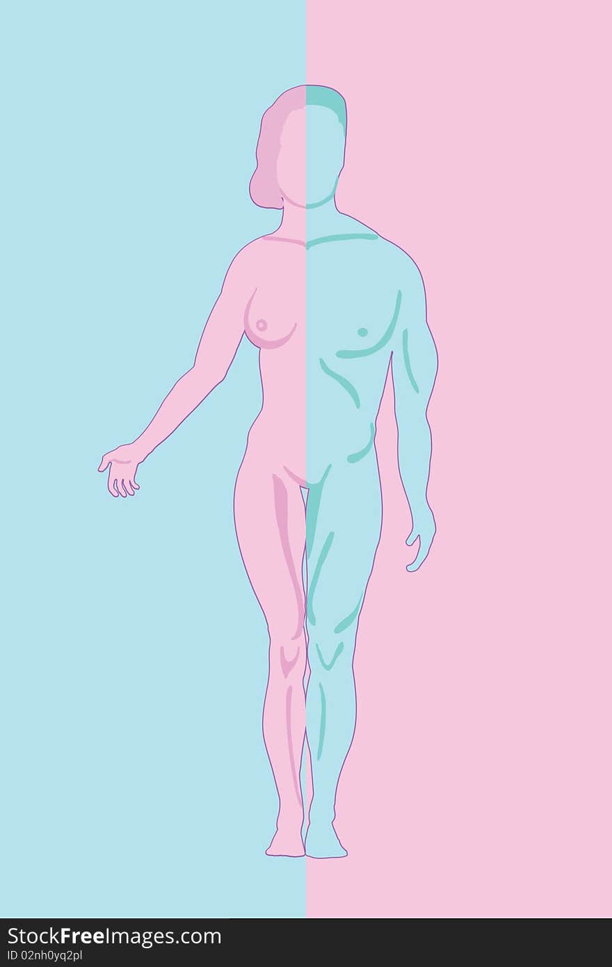 A human figure, consisting of male and female. Against the background of pink and blue background.All the objects on separate layers, easily editable. A human figure, consisting of male and female. Against the background of pink and blue background.All the objects on separate layers, easily editable.