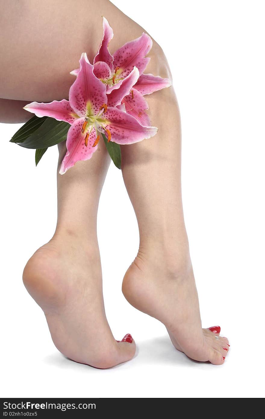 Beautiful woman legs  and flowers  over white. Beautiful woman legs  and flowers  over white