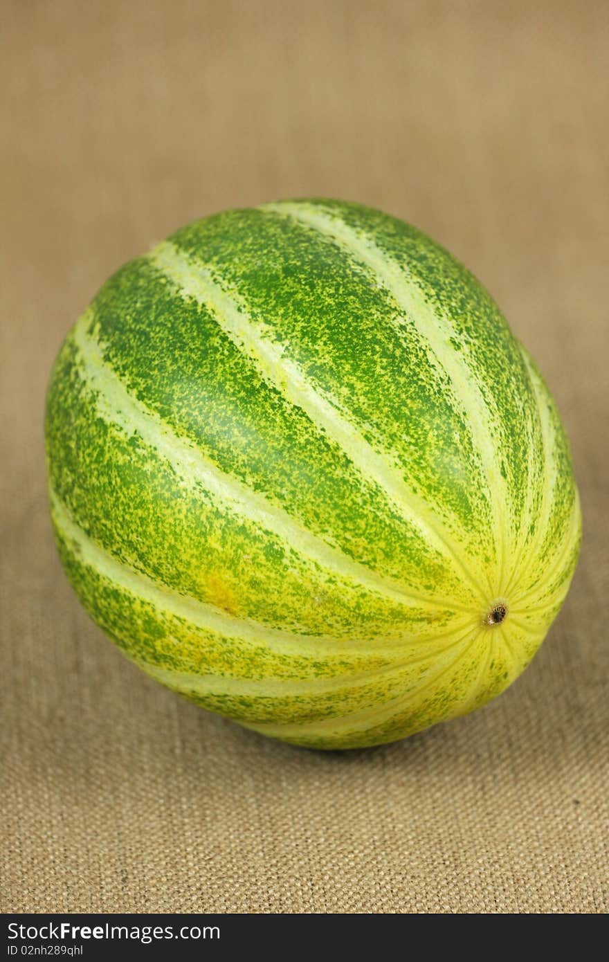 Muskmelon