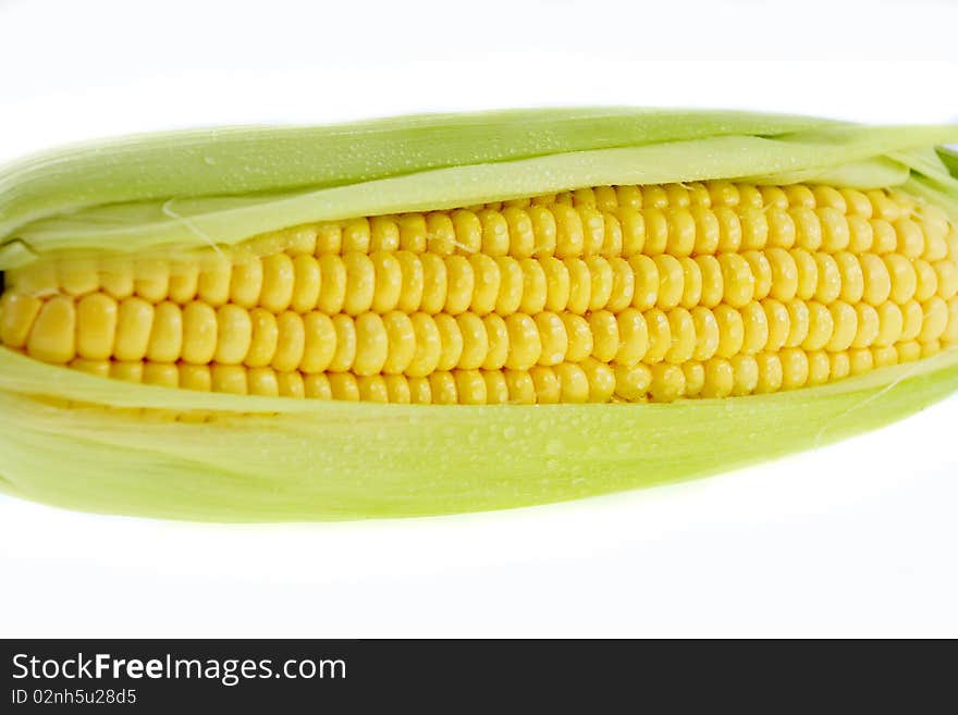 Fresh closeup corn on insulated white background. Fresh closeup corn on insulated white background