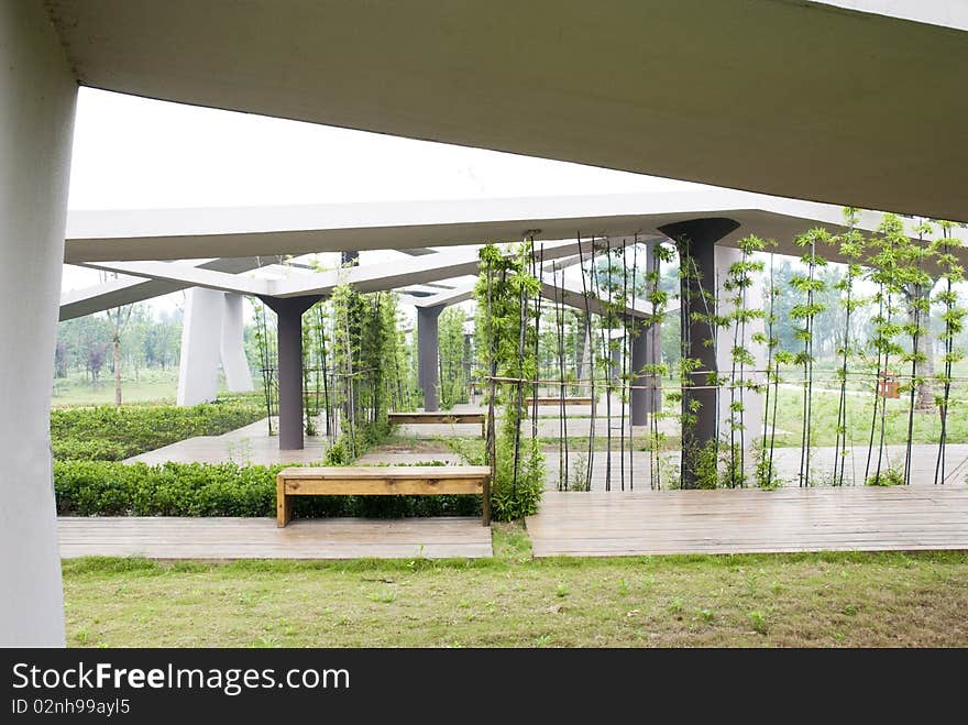 The beautiful garden with the bamboo