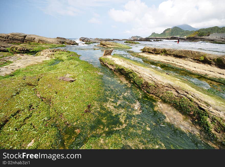 Rocks with green seaweeds at the coast