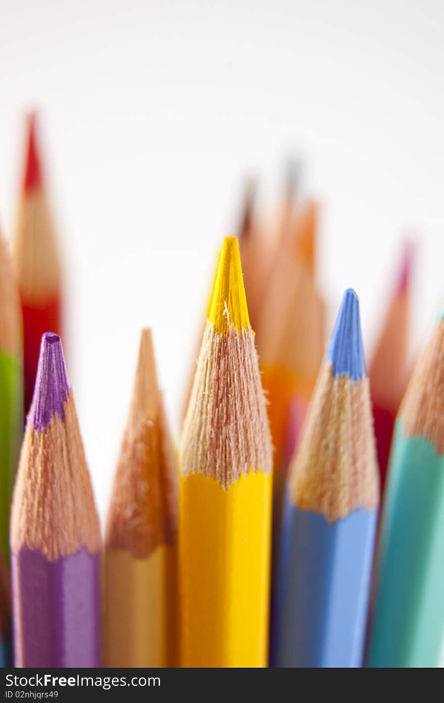 Close up of many colored pencils isolated