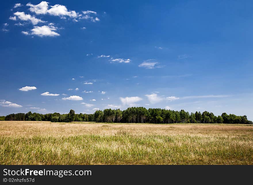 Green Grass and Blue Sky