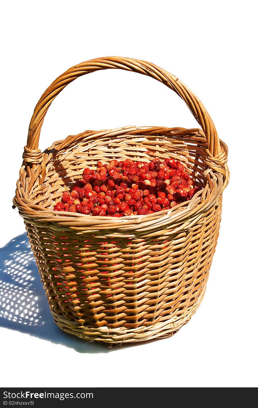 Basket full of wild strawberry on white background