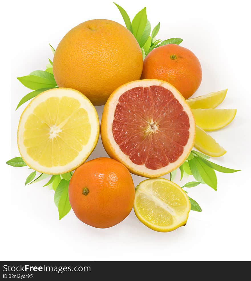 Group of fresh citrus fruits isolated on white with clipping path