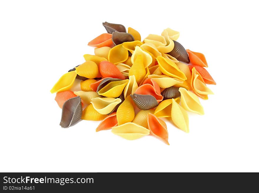 Colored Pasta Shells