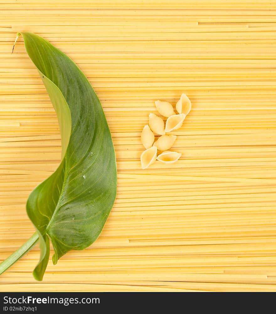 Raw pasta forming background for pasta shells and a leaf. Raw pasta forming background for pasta shells and a leaf