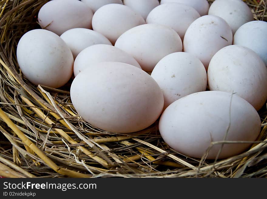 Eggs of duck for make salt eggs. Eggs of duck for make salt eggs.