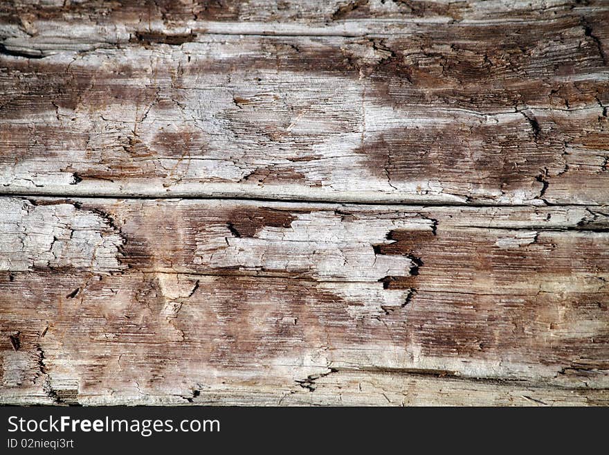 Background closeup driftwood