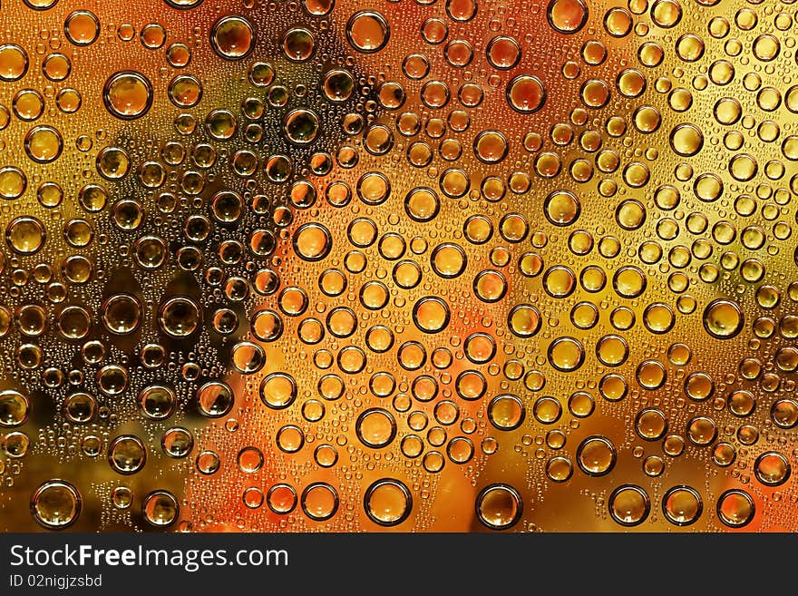 A bubble texture or background. A bubble texture or background