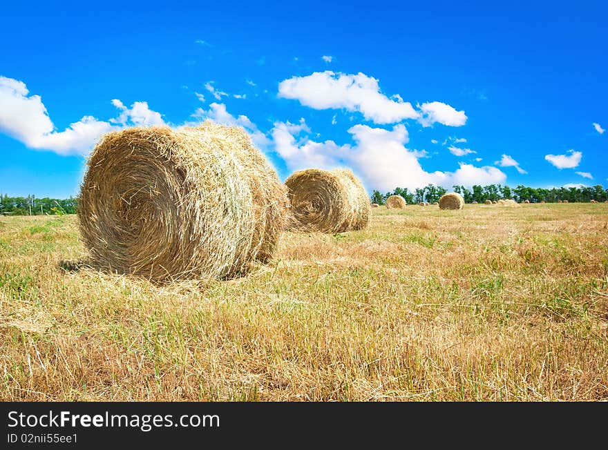 Big hay bale field in late summer. Big hay bale field in late summer