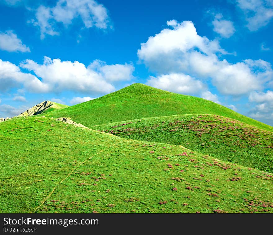 Hills covered with a green grass. Hills covered with a green grass