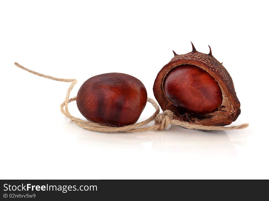 Conker nuts with husk and a piece of string with tied knot, isolated over white background. Used in conker battle games. Conker nuts with husk and a piece of string with tied knot, isolated over white background. Used in conker battle games.