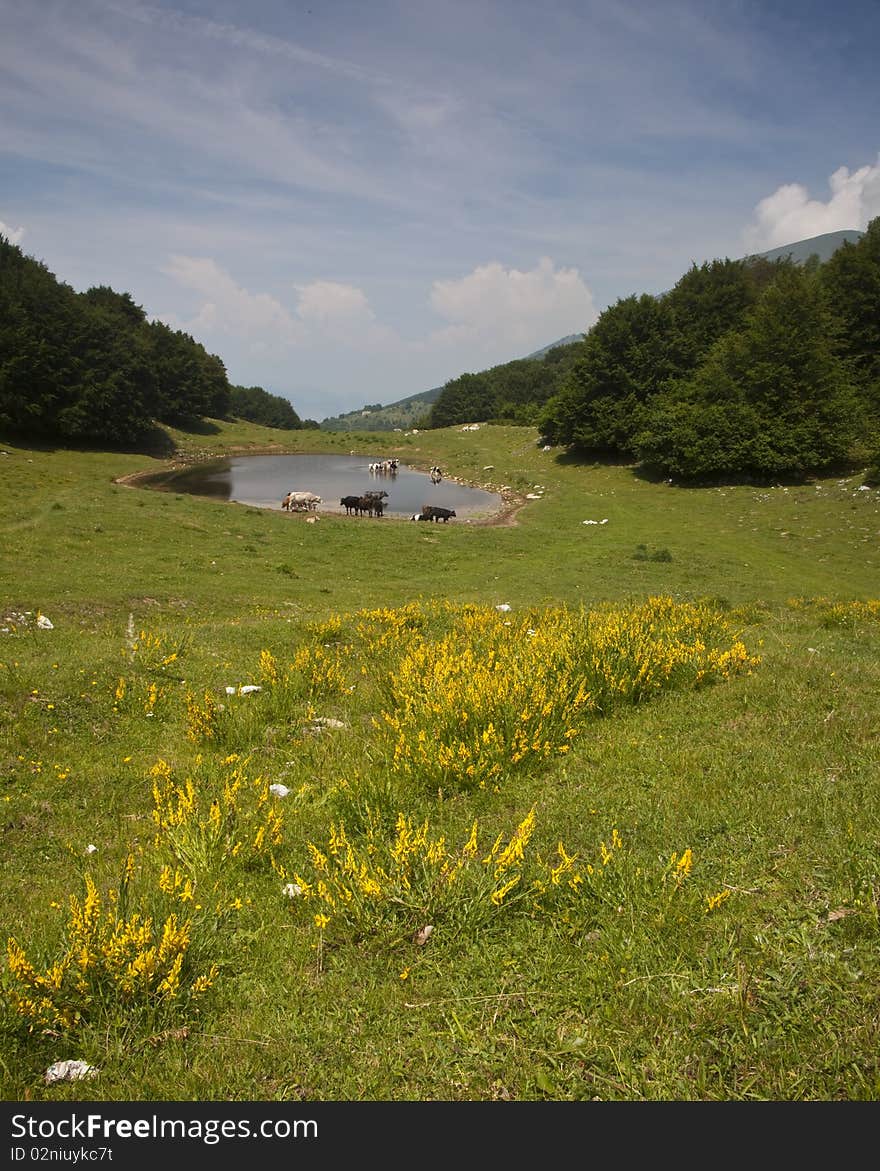 Prada monte baldo