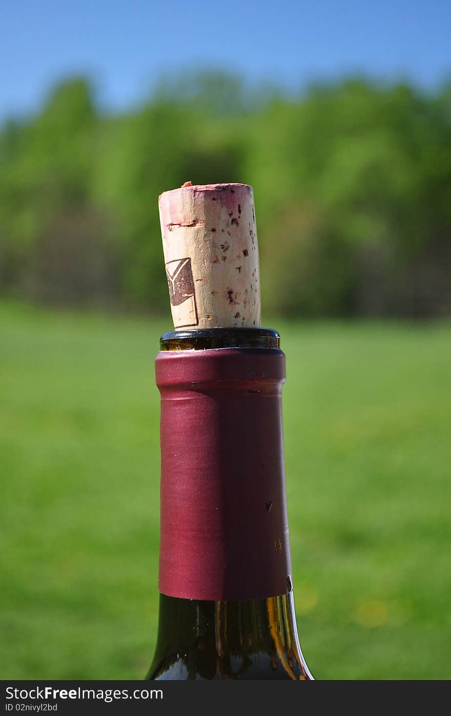 Corked Wine Bottle