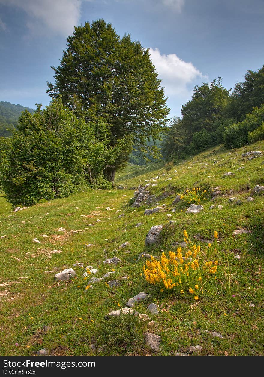 Monte baldo, monti del veneto. Monte baldo, monti del veneto